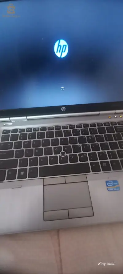 المدية