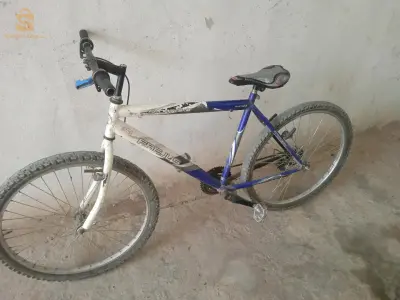 فيلو نظيفة ربي بارك تخصها زوج ڨبضات تاع ڨيدو فرانات و قبضة سونجمو و لتحت شونجمو لول الباقي كلش مليح تمشي نورمال