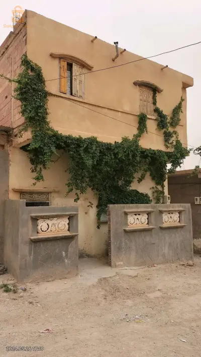 حي بن سعيد