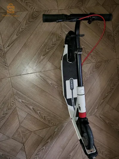 Trotinate oxelo 🛴