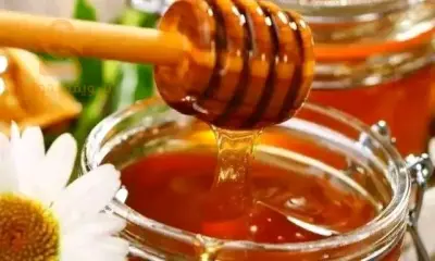 عسل حر