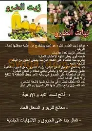 bechar
