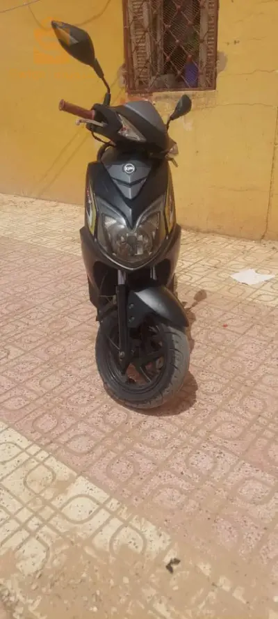 موطو