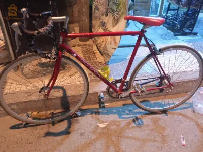 velo go sport