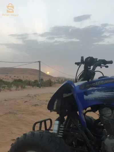 0552909516