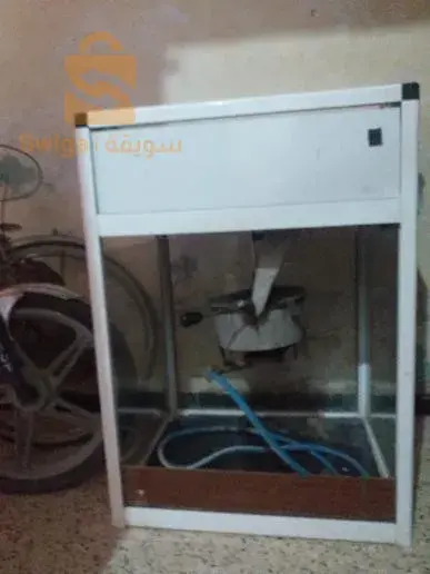 بسكرة