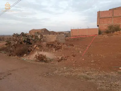A Aïn El Arbaa, près de Sidi Safi