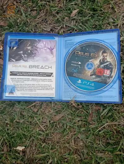 Cd