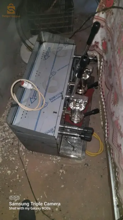 القنادسة بشار