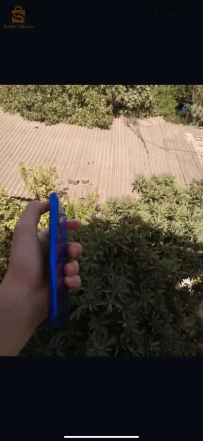 الجزائر