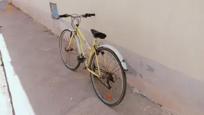31 شارع الغرب