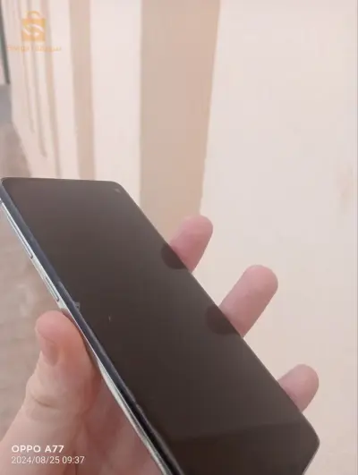 باب الزوار