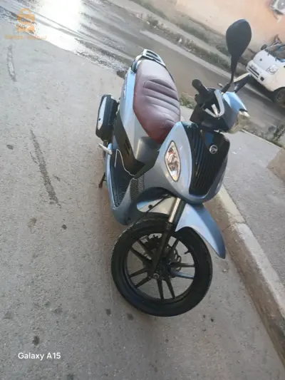 0561765074