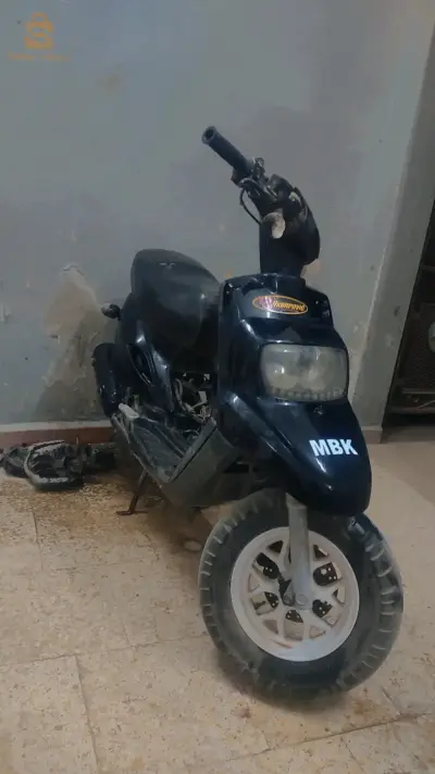 الوادي