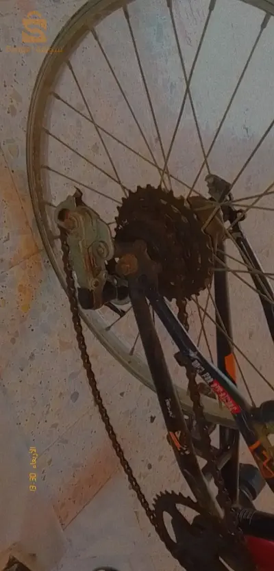 دراجة هوائية