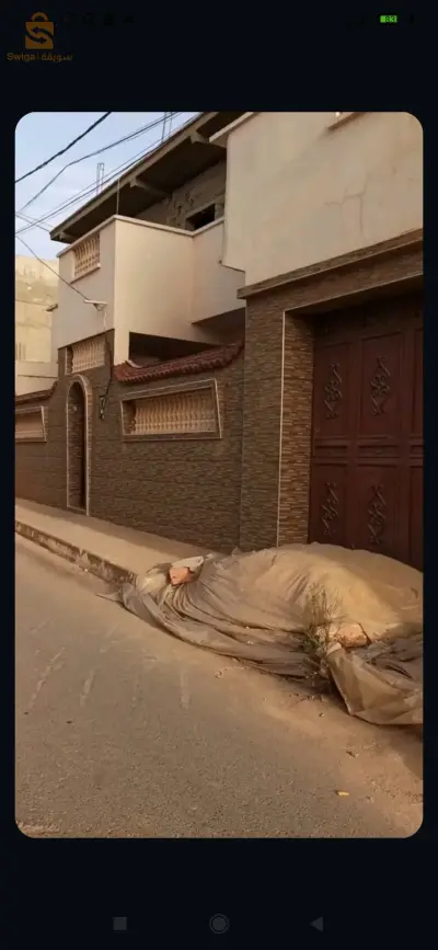 بني صاف