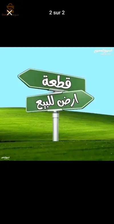 تيرا