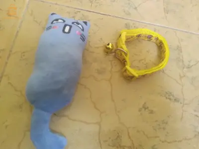 سوار قطط و لعبة