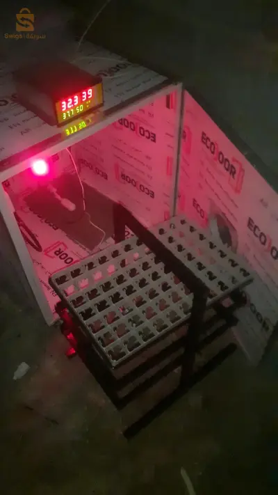 أم البواقي