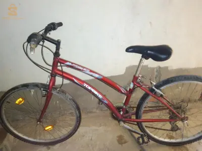 أمير عبد القادر