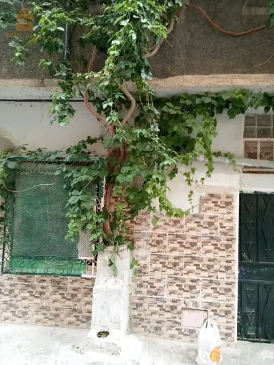 maison a vendre batna dor dissertation