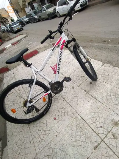 0553354296