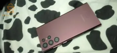 Samsung Galaxy S22 Ultra 5G Double Puce