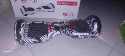 smart falcon