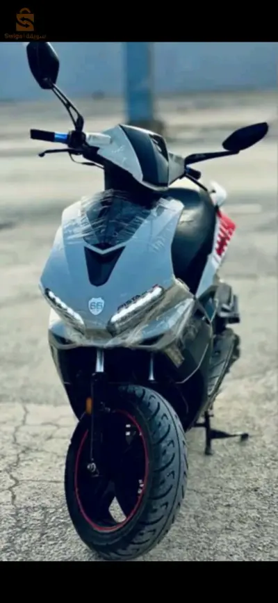 ام البواقي