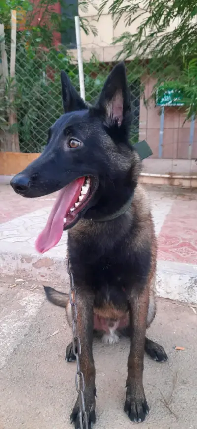 manilwa