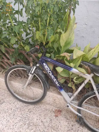 velo en bon état