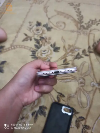 عين دفلى