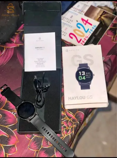 HAYLOU GS