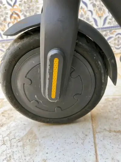 كولش ريقلو