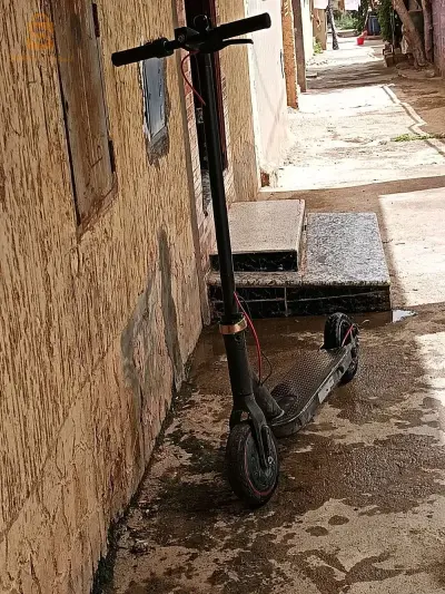 سكوتر شاومي