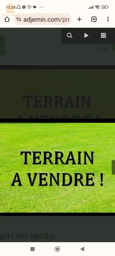 terrain