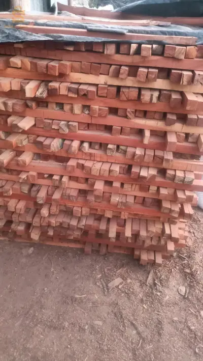 بليدة