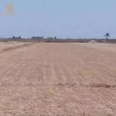ارض جافة