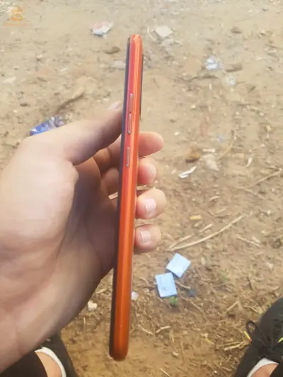 تيارت
