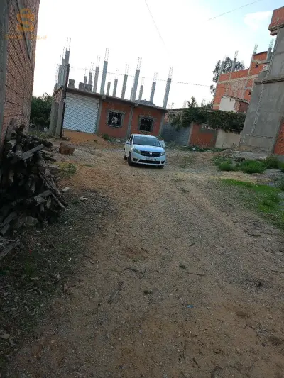 لوتيسمو هشام عبيدات