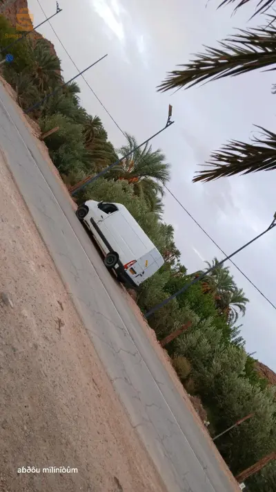 نقل و ترحيل جميع ولايات الوطن