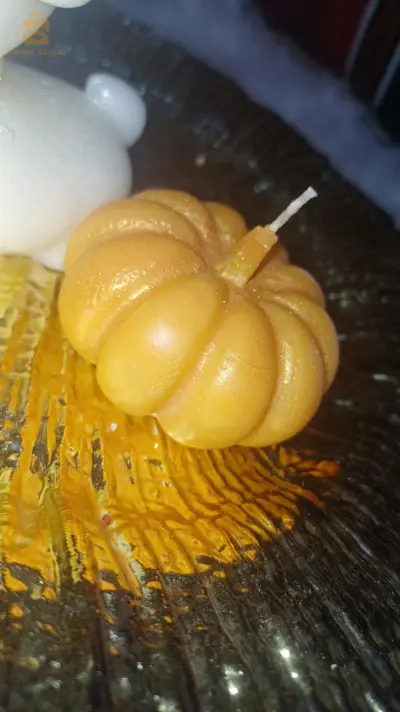 الكاليتوس