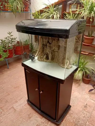 aquarium