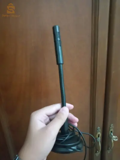 Microphone