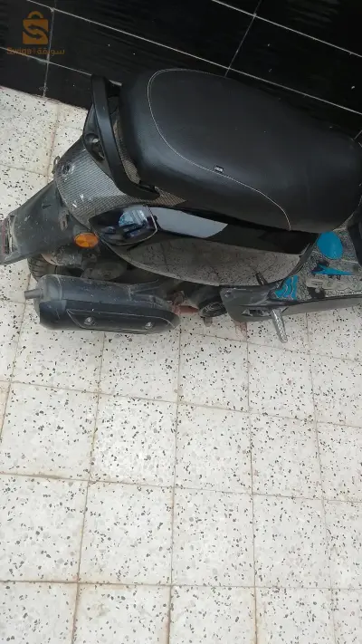 عين الدفلى