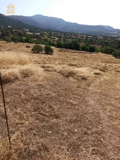 terrain a vendre a agraradj tamassit
