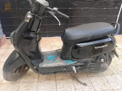 عين الدفلى