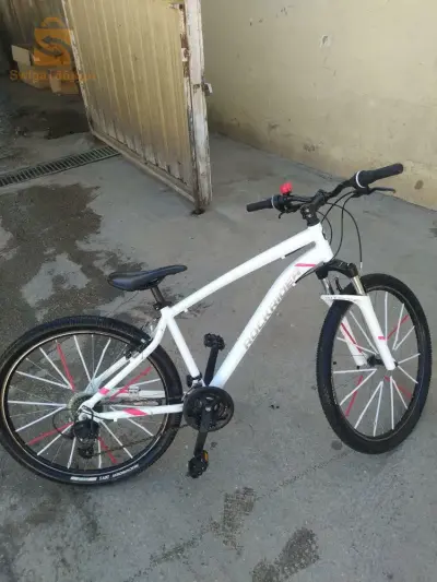 ROCKRIDER st100