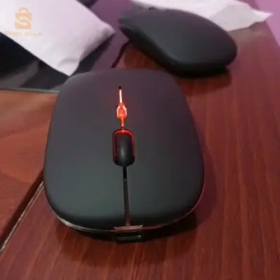 Computer mouse