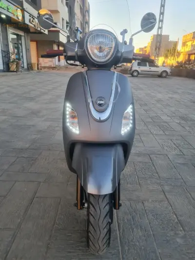فيدال 3 2024